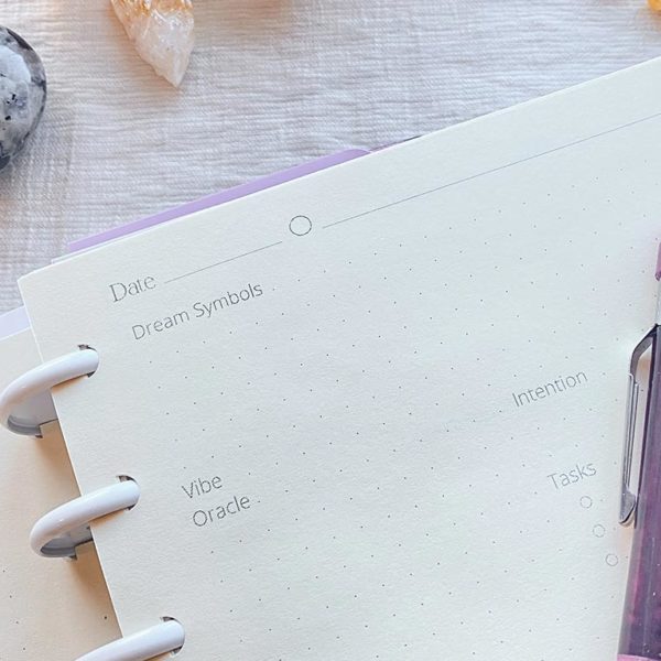 How to use the Moon Play Moon Journal Daily Snapshot page as a habit tracker