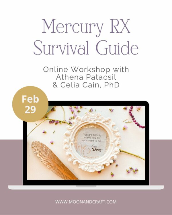 Mercury Retrograde Survival Guide Workshop