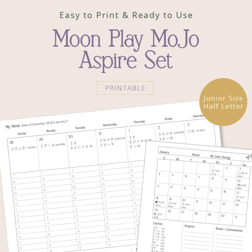 Moon Play MoJo self care journal and astrological planner