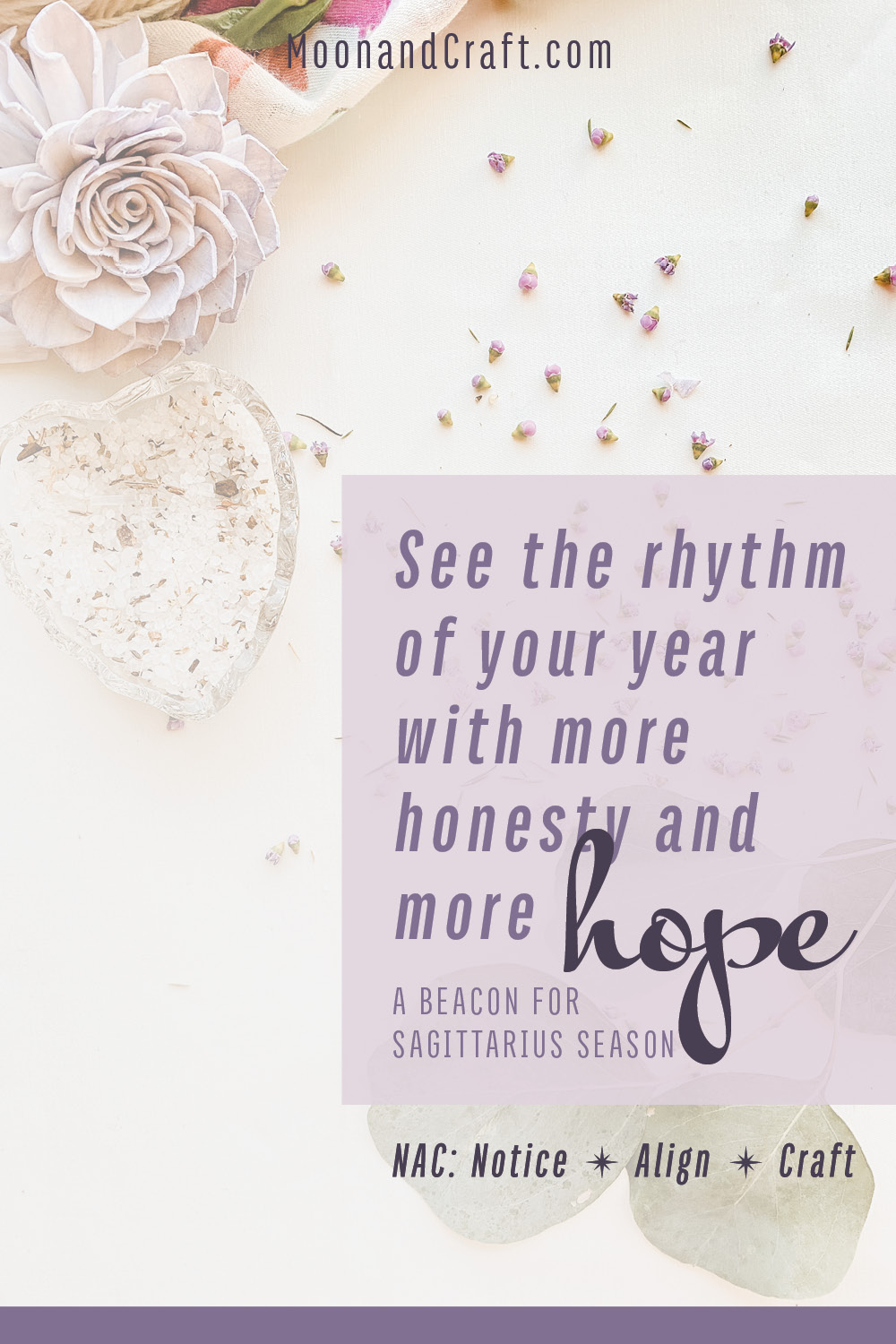 Sagittarius Season simple text pin