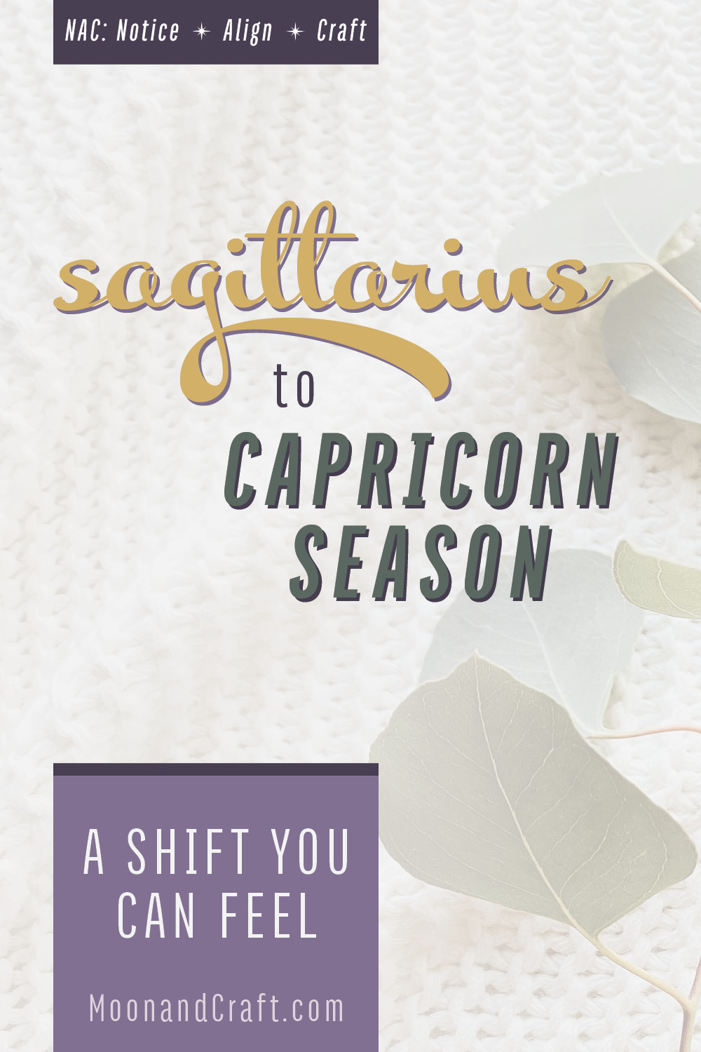 Sagittarius Season ritual pin