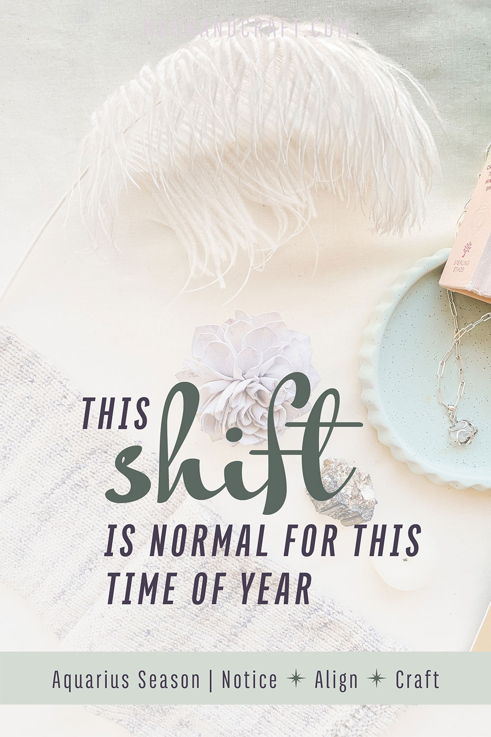 Aquarius Season quote pin