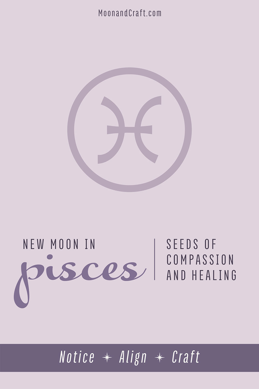 Pisces Season simple text pin
