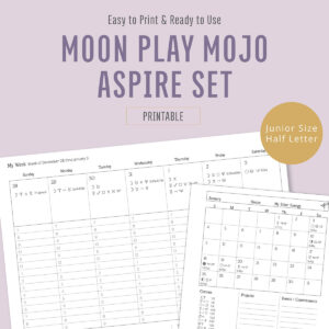 Astrology Planner & Moon Journal Printable Bundle | 2026 Aspire Set