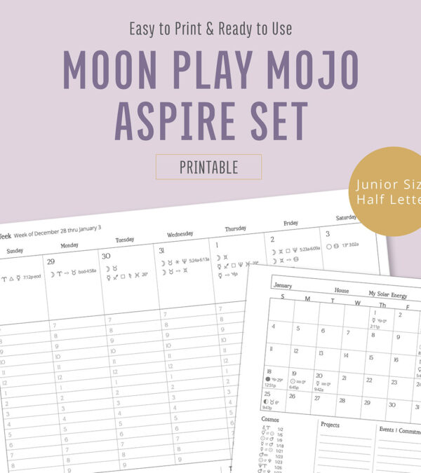 Moon-play-moon-journal-astrological-planner-set-1